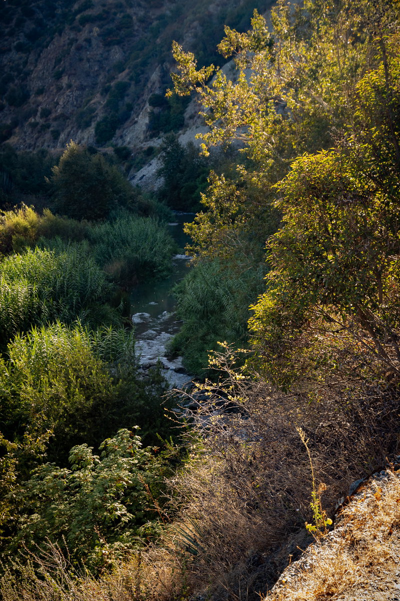 San Gabriel River Through the Canyon
