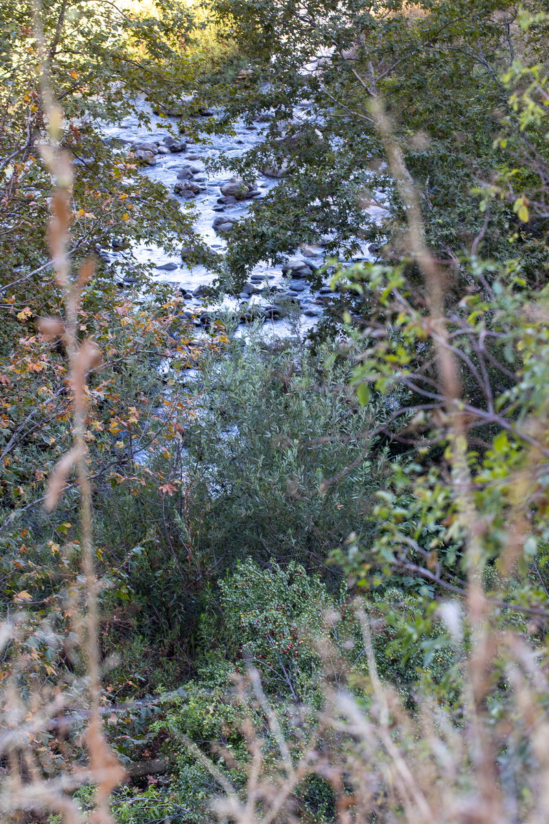 River Below the Trail