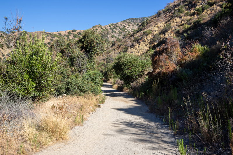 Old San Gabriel Canyon Road Trail