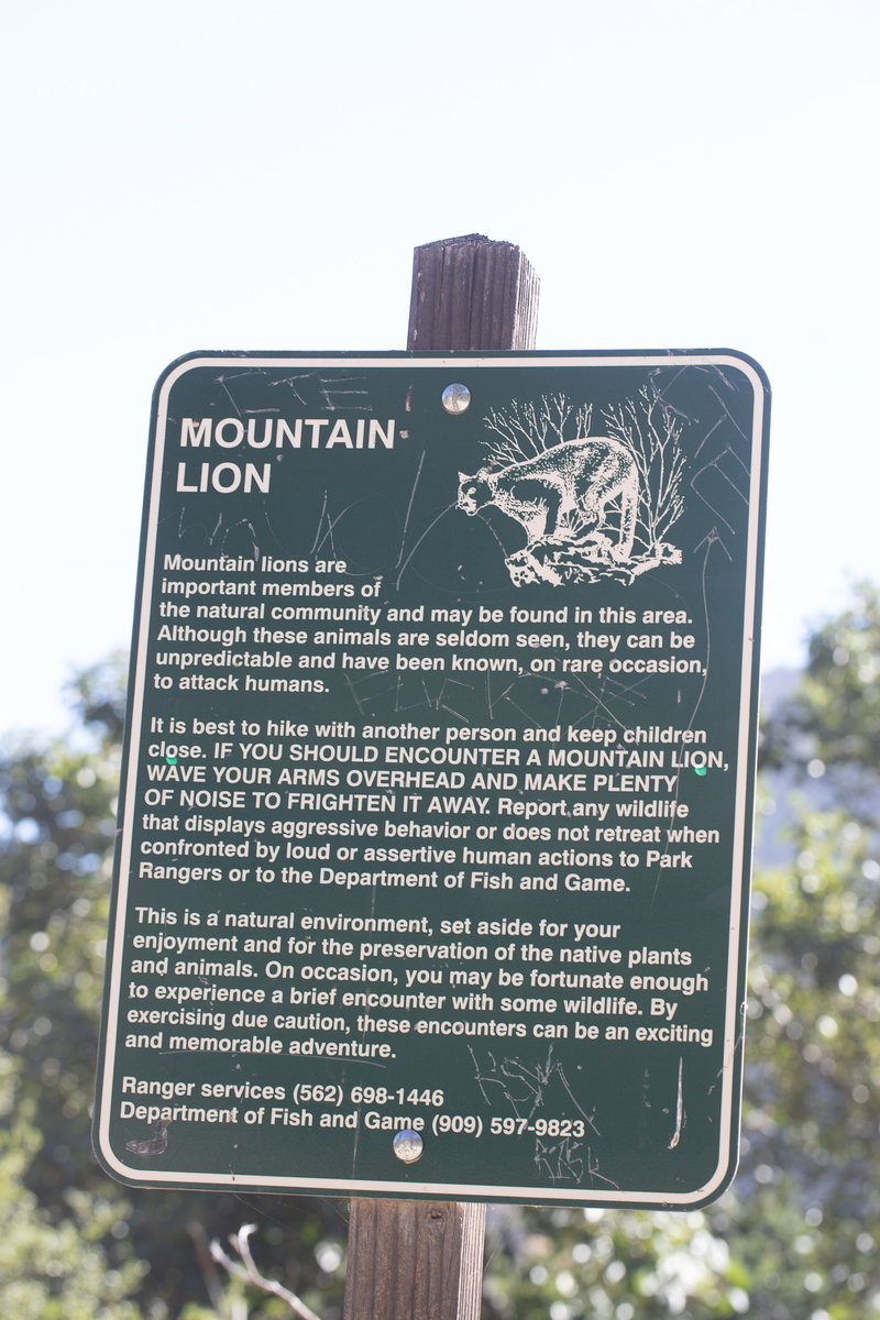 Mountain Lion Safety Sign