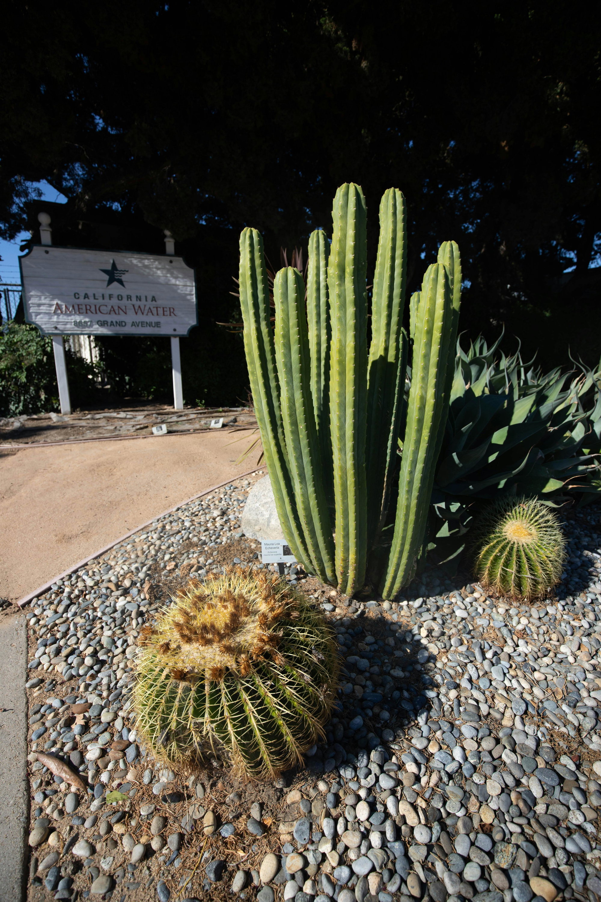 Cal American Water Water-Wise Landscaping