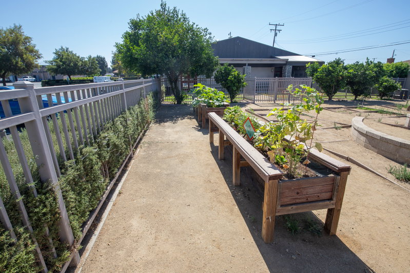 Raised Beds at Cougar Park
