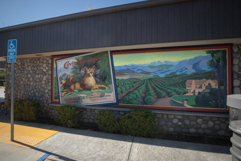 Citrus Heritage Mural at Cougar Park