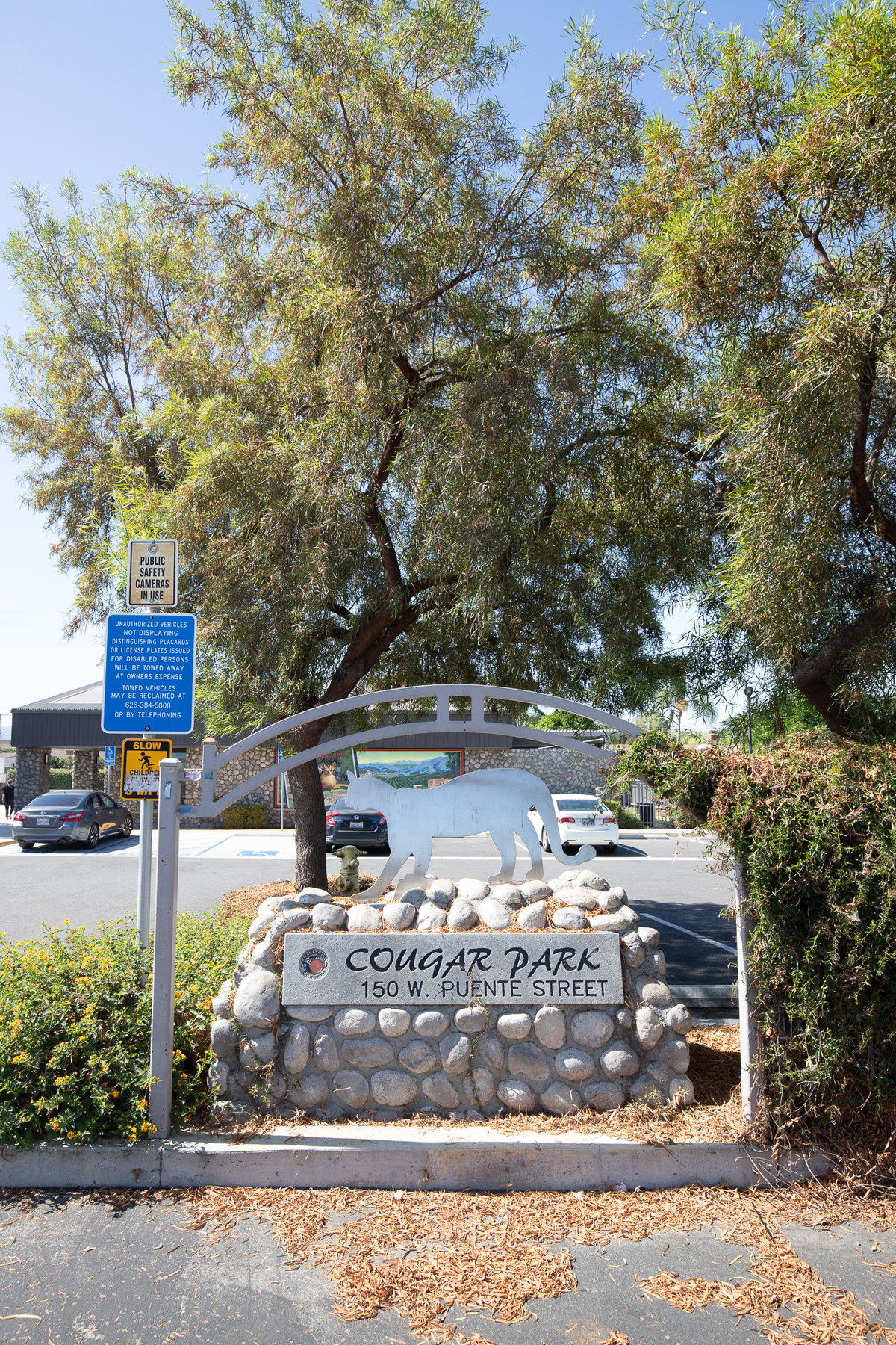 Cougar Park Entrance Sign