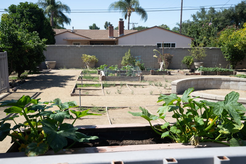 Cougar Park Community Garden
