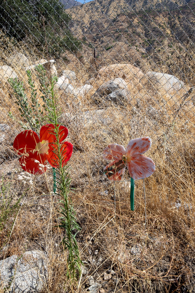 stp-eaton-canyon-5291