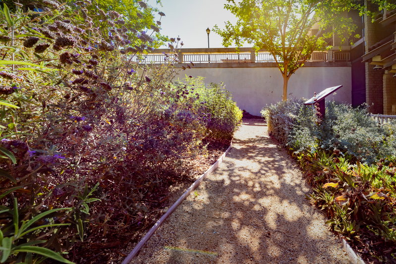 Path Through the Demonstration Garden