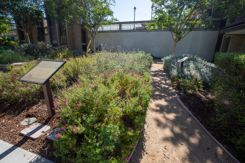 Sun Garden Path