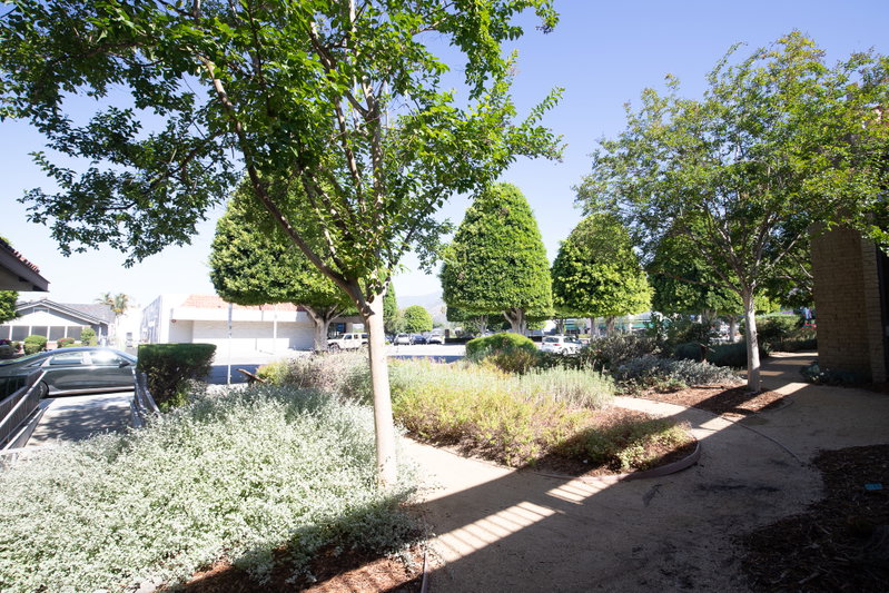 Garden Paths Beside the Civic Center