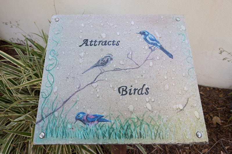 Attracts Birds Sign