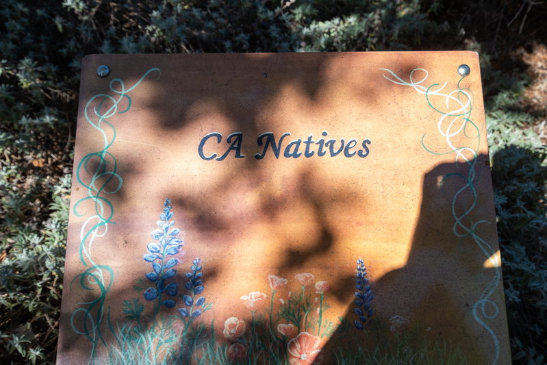 California Natives Sign