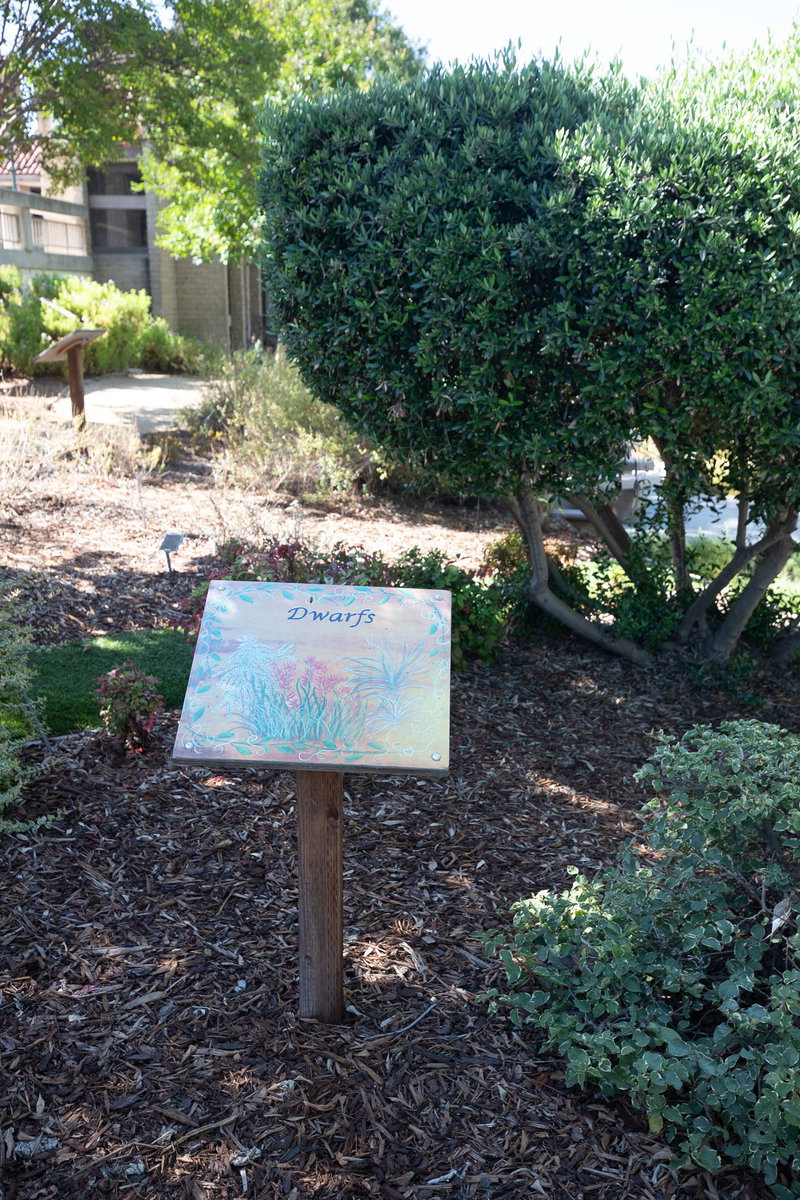 Dwarf Plants Section