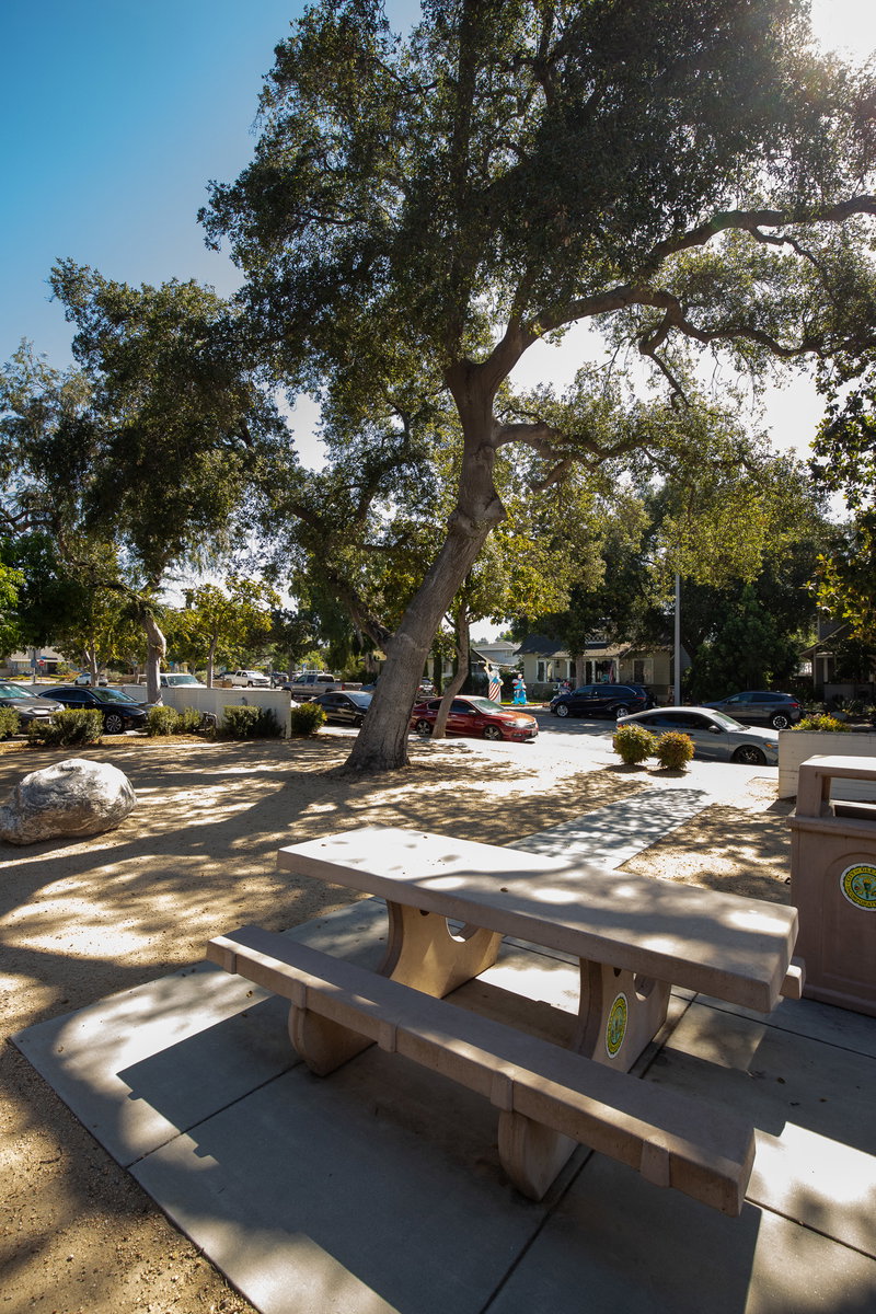 Picnic Tables Beneath Mature Trees