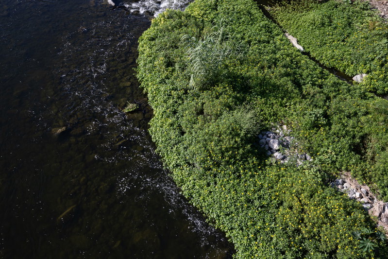 View of the river from the pedestrian bridge