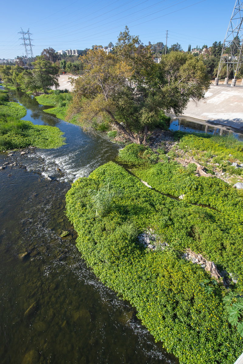 View of the river from the pedestrian bridge.