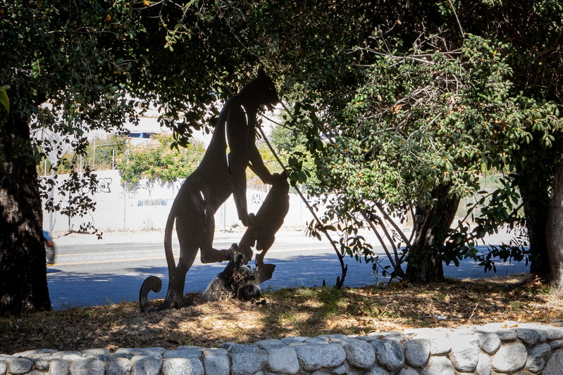 Mountain Lion sculpture at Oso Park