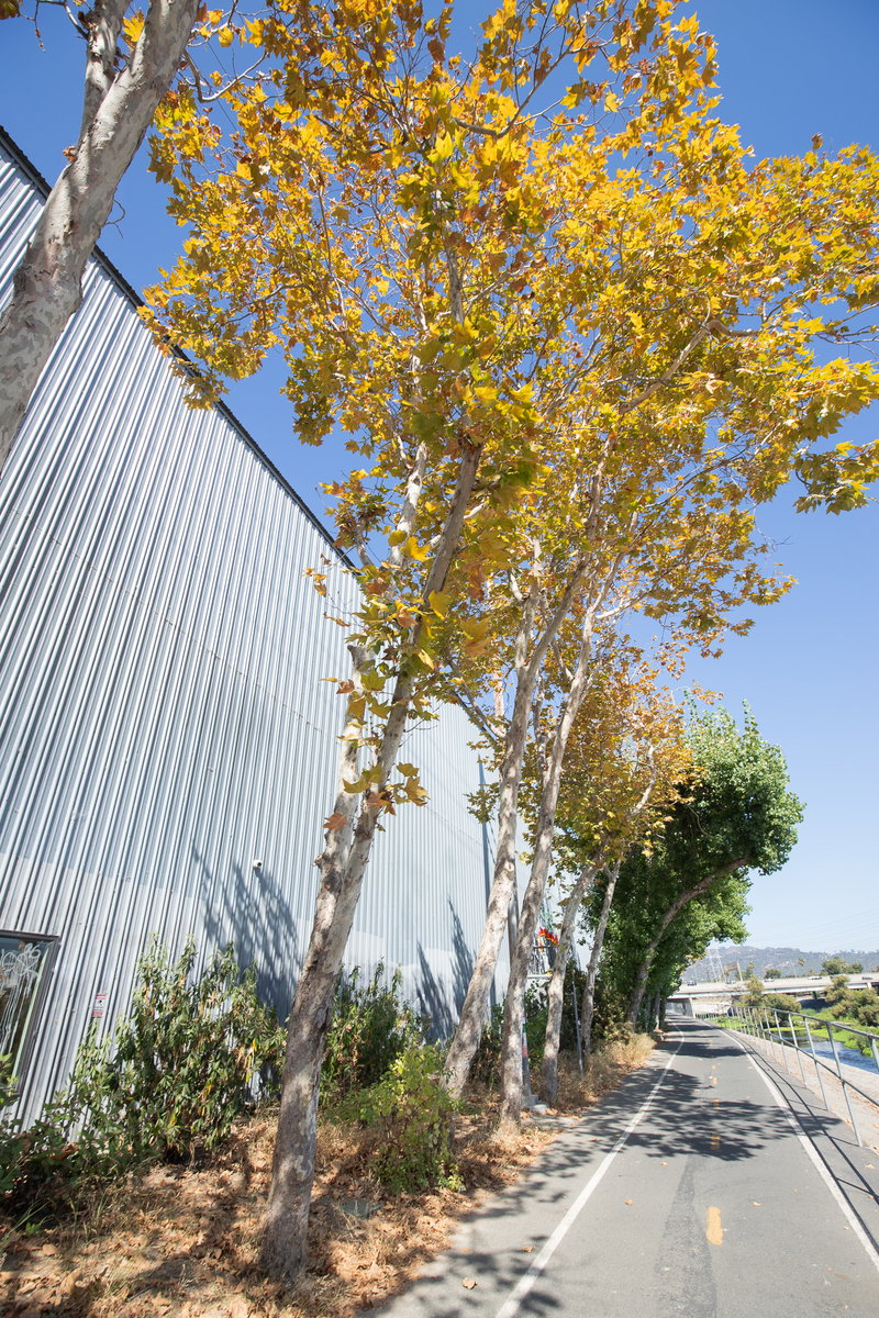 stp-la-greenway-pocket-parks-4821