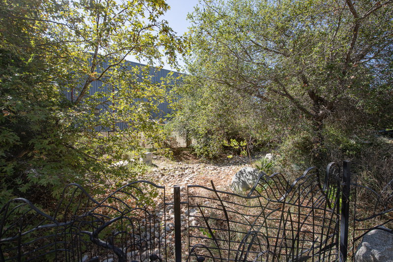 Bioswale