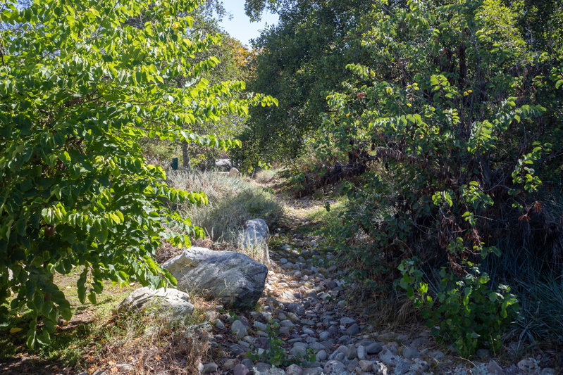 Bioswale