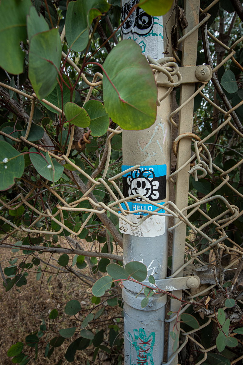 Fence with Sticker