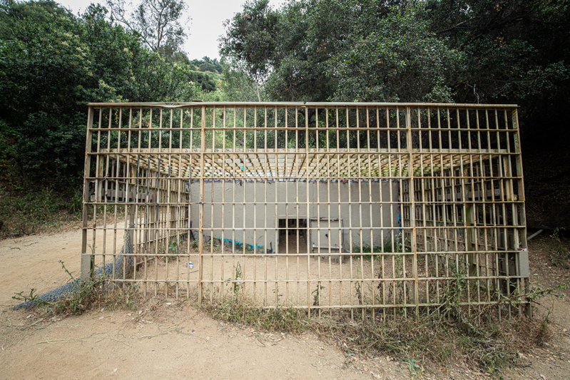 Zoo Cage