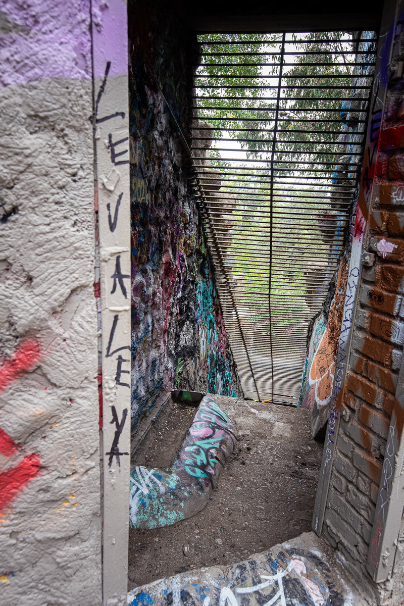 Zoo Ruins