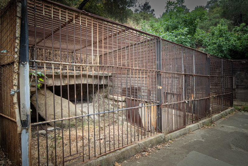 Old Enclosure